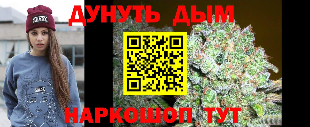 Славгород  МАРИХУАНА Amnesia  Конопля Bruce Banner  Вход с VPN  Каннабис OG Kush  Марихуана семена 